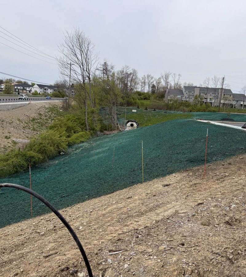 20250417_180807985_iOS