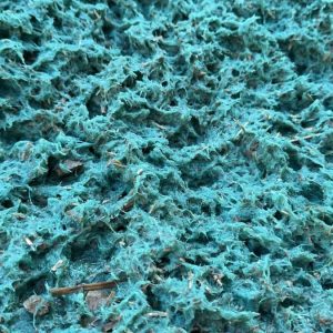 20250423_170954792_iOS